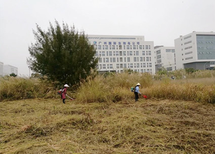 廣州剪草機(jī)除草-廣州國際生物島